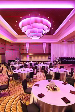Commercial---Hospitality