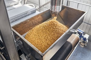 Food-and-Beverage---Ingredients